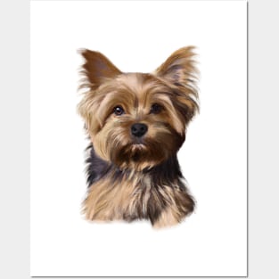 Cute Yorkshire Terrier Drawing Posters and Art